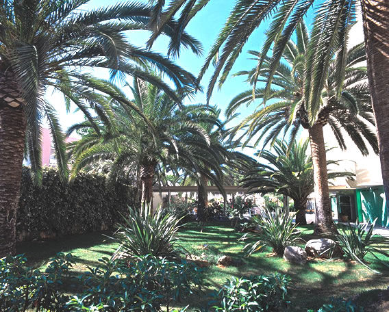 Hotel Palmira Isabela Santa Ponsa Exterior foto